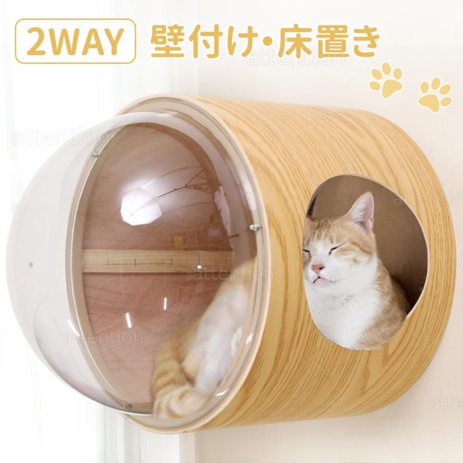 キャットウォーク 壁 キャットステップ 壁掛け 壁付け 木製 キャットハウス 冬 宇宙船 透明 猫 ステップ