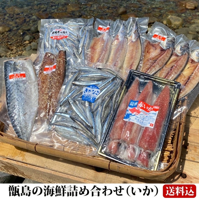 【送料無料】 ギフト 甑島の海鮮詰め合わせ（いか） 海鮮セット 干物 天日干し 塩干 塩干し イカ 鹿児島産 お刺身 キビナゴ アジ カマス 鯖 薩摩赤いか 贈り物 お土産 お歳暮 御歳暮