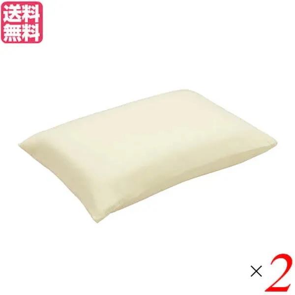 ゼンケン キュービックボディ枕+消臭枕カバー S-NPC-050-LB 2個セット