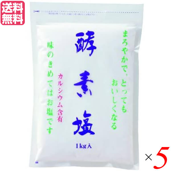 塩 天日塩 天然 酵素塩 5kg