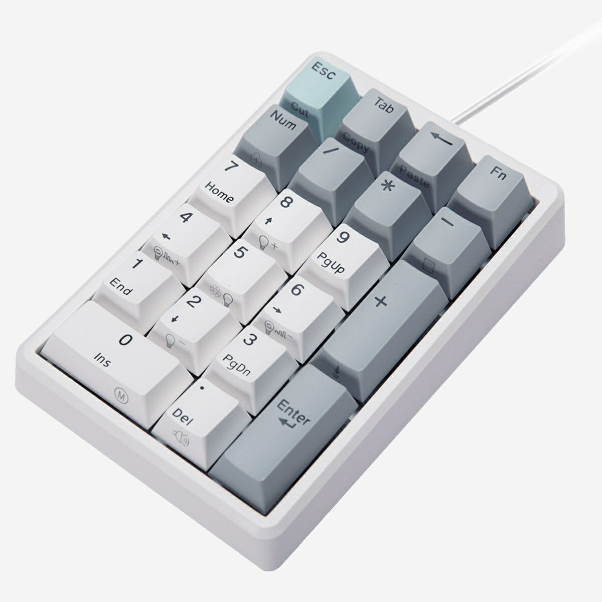 NIZ テンキー 静電容量無接点方式キーボード ホワイト LEDバックライト 有線(USB-TypeC)接続キー荷重35g 英語配列 PBT製キーキャップ搭載 Win/Mac両対応 専用ソフトウェア