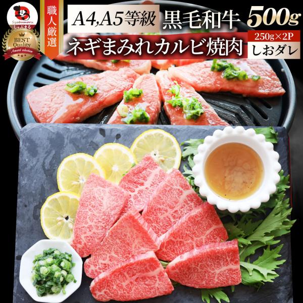 A4,A5等級 特選 黒毛和牛 カルビ焼肉 500g ねぎまみれ 旨塩ダレ（ A4 A5等級 ）牛肉 肉 お中元 ギフト 食品 お祝い 霜降り 贅沢 黒毛