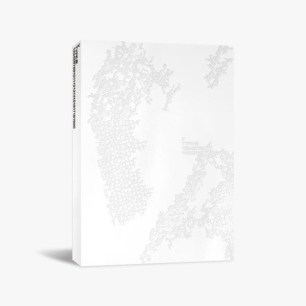 [2種セット] (Photobook) BTS V-TYPE 非 防弾少年団 公式グッズ