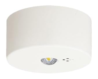 パナソニック(Panasonic) 天井直付型 LED 昼白色 非常用照明器具 30分間タイプ LED 低天井用 ～3m 自己点検スイッチ付 リモコン自己点検機能付 NNFB91005C