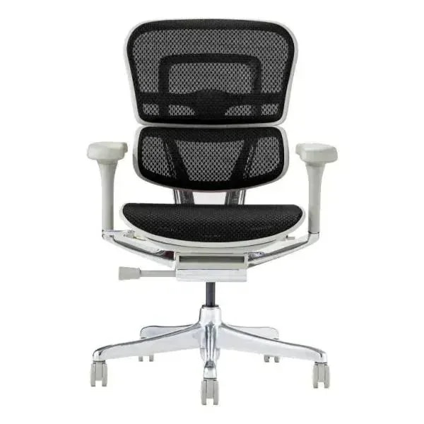関家具 オフィスチェア ロータイプ 高機能 Ergohuman PRO2 EHP2-LAM-GF-BK グレーフレーム×ブラック