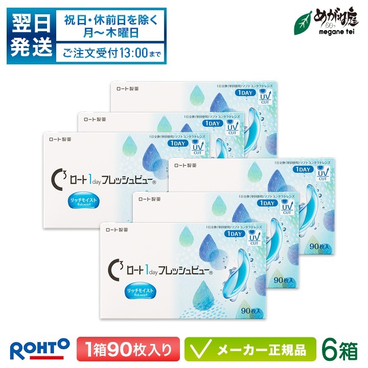 ワンデーフレッシュビュー リッチモイスト 90枚入り 6箱セット 両眼約9ヶ月分 (1日使い捨て コンタクト 1day 高含水率)