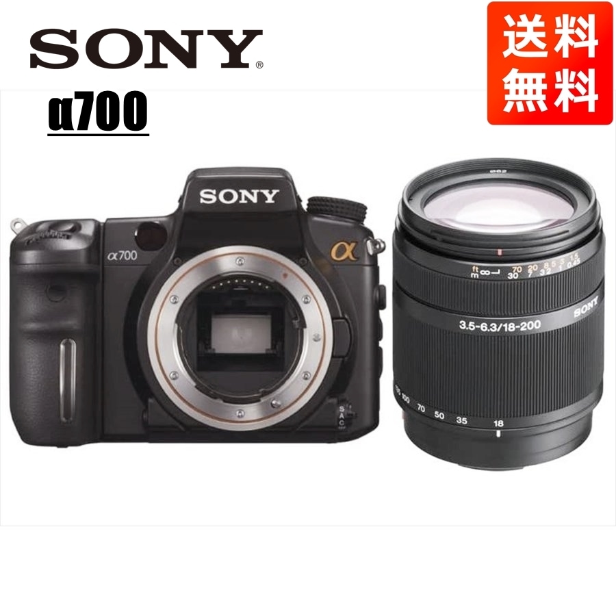 α700 DT 18-200mm 高倍率 レンズセット デジタル一眼レフ カメラ 中古