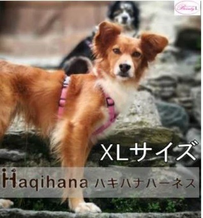 非常に高い品質 haqihana ハキハナ　ハーネス安全 犬用 胴輪【XL　サイズ】メール便発送 犬ハーネス
