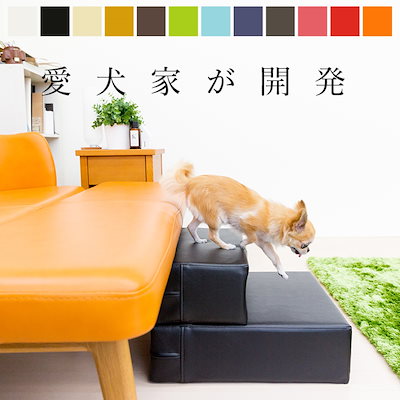 ☆ スキー OGASAKA TRIUN G TEAM 覇 160 cm スキー板 【公式通販】