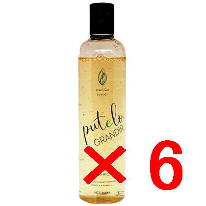 【送料無料】【正規品販売商品】プテロ putelo ／ プテロ AR シャンプー グランディール 300ml 【6個セット】／ スカルプシャンプー ／ フレッシュな植物エキス