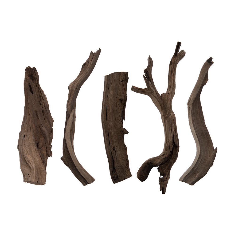 形状お任せ　煮込み済み　ゴーストウッド　Ｓサイズ（約２５ー４０ｃｍ）　５本　レイアウト素材　流木　ＣＲＣ21―10―20―30―00