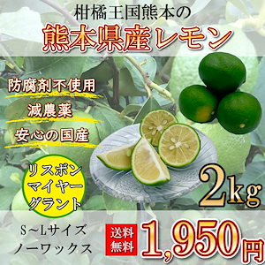 Qoo10] レモン 国産レモン 熊本県産 2キロ S