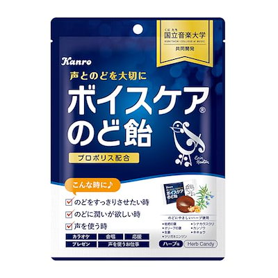 他サイト： カンロ ボイスケアのど飴 70g×6袋の商品画像