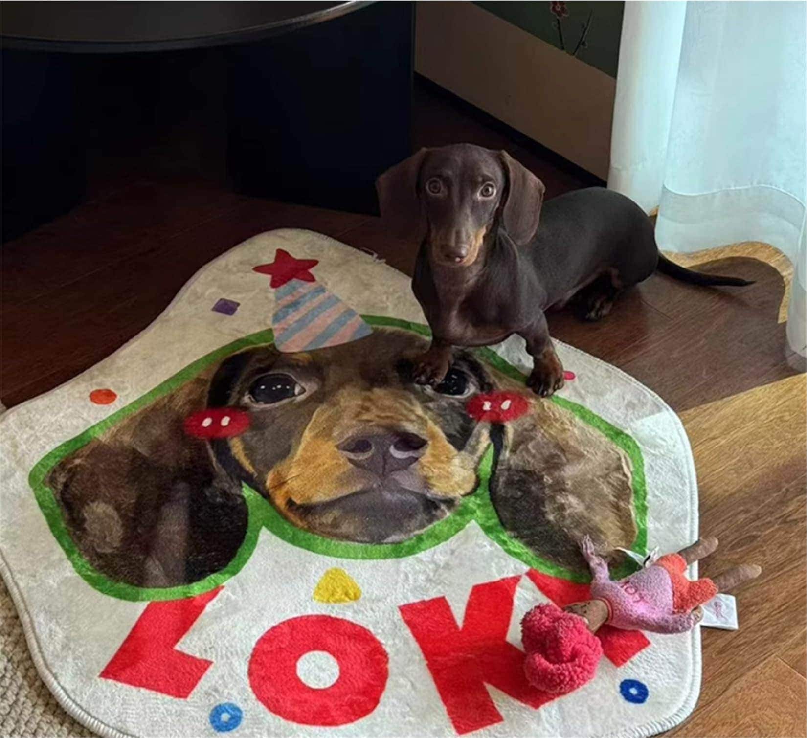 ペットラグ 犬猫 名前入り 滑り止め ラグマット メモリアル用品 おしゃれ オーダーメイド プレゼント 洗える インテリア 写真入り オリジナル生活雑貨アイディア商品