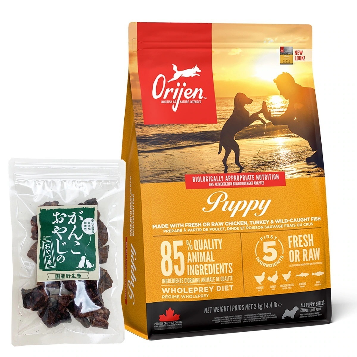 パピー 2kg【国産鹿ラング15g付き】