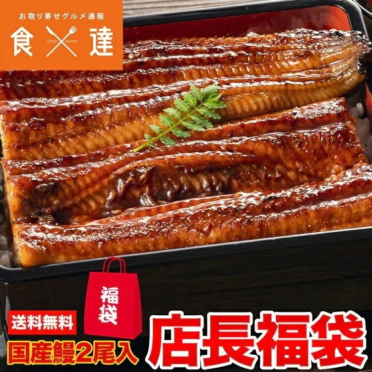 店長おまかせ福袋（国産うなぎ絶対入ってます！） 冷凍便 指定日不可