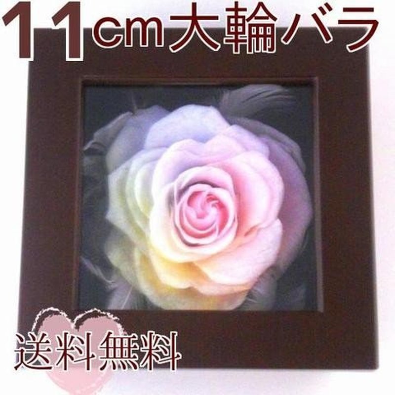 高級プリザーブドフラワーケース入り大輪バラ　パステルレインボーローズ　フレームボックス ブラウン 送料無料　お祝い　誕生日結婚祝い　記念品　出産祝い　結婚記念日 　退職祝い　歓送迎会　送別祝い