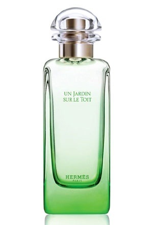 エルメス 屋根の上の庭 EDT SP 100ml