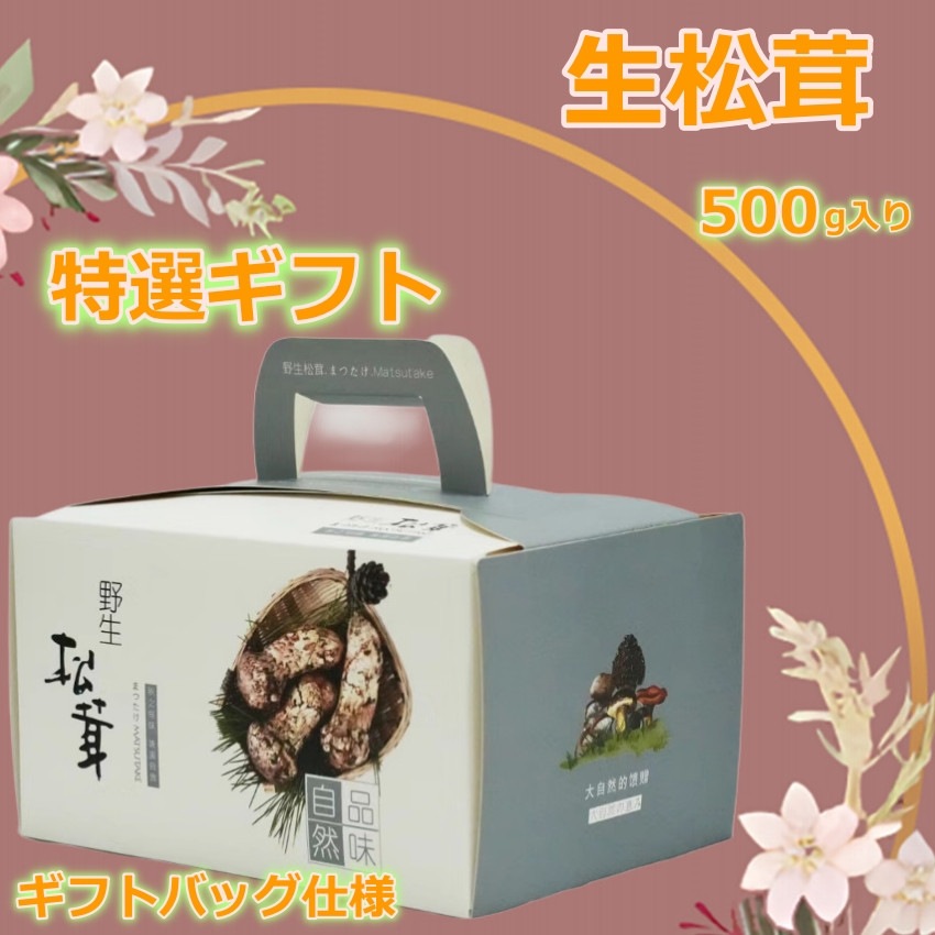 松茸 【中つぼみ】 500g 【特選ギフト】 2024 中国 秋の味覚 鮮度がよく 香り豊かな 生松茸 プレゼント 秋のバーベキュー パーティー【Bigイベント】 家族団らん
