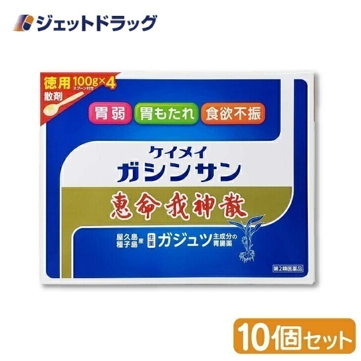 【第2類医薬品】恵命我神散 100g 4袋入 ×10個