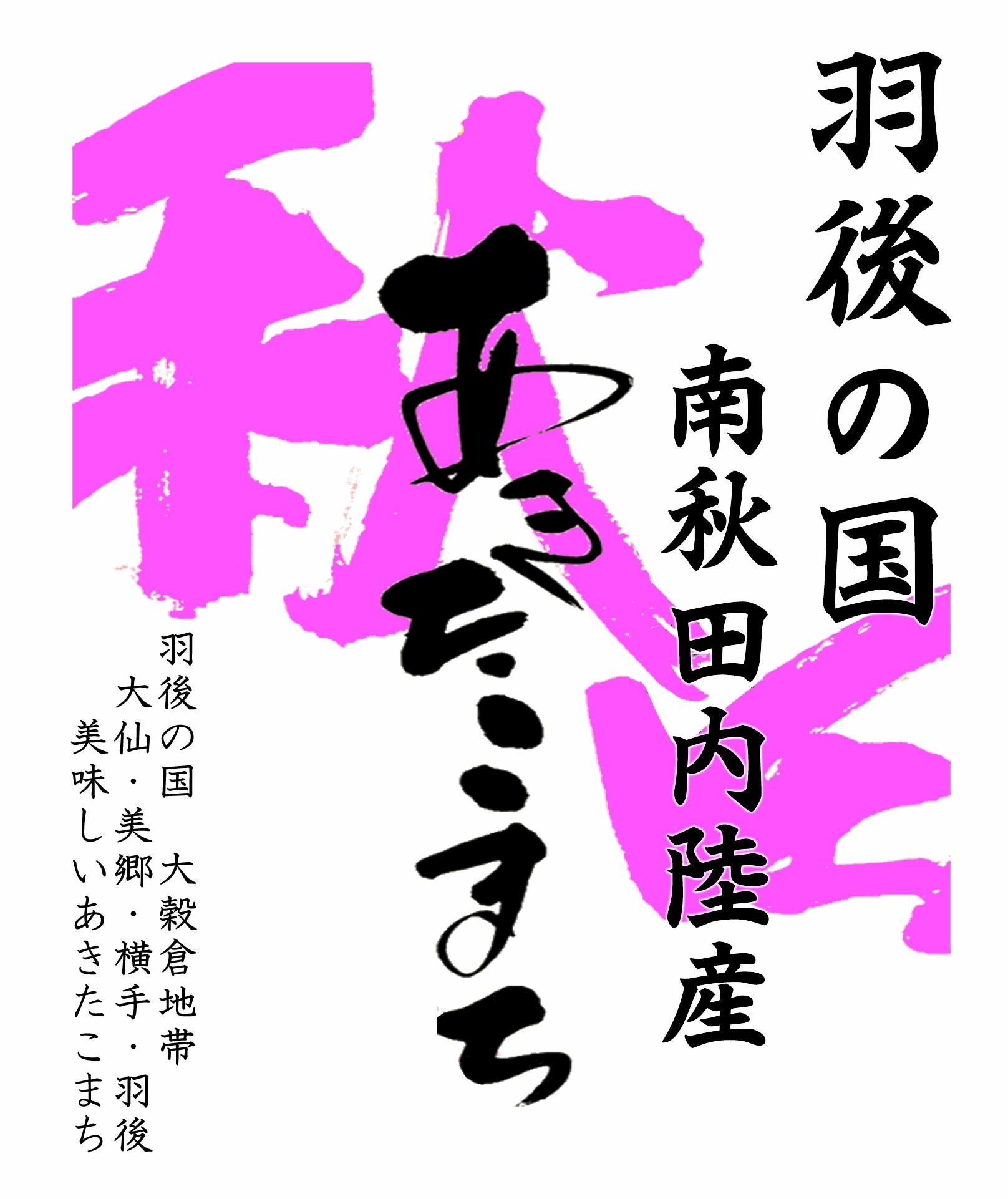 令和6年産 羽後の国 南秋田内陸産 あきたこまち 10kgx1袋 (白米/玄米/無洗米加工/保存包装 選択可)