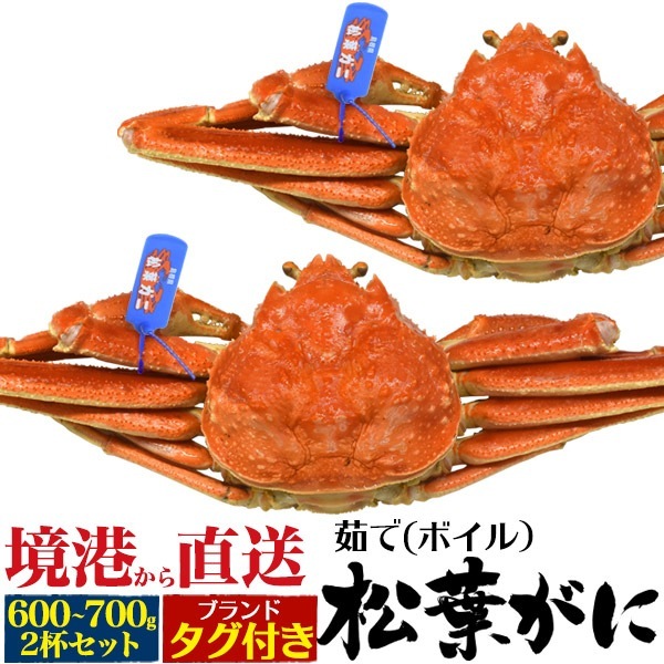 境港から直送　冷蔵 釜茹で 極上 松葉ガニ 約600g-700g　2杯セット ボイル済み　ズワイガニ 姿　タグ付き　山陰産ブランド　産地直送　蟹 かに カニ 冬