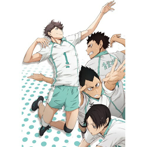 ハイキュー!! vol.8 ／ ハイキュー!! (DVD) TDV-24368D