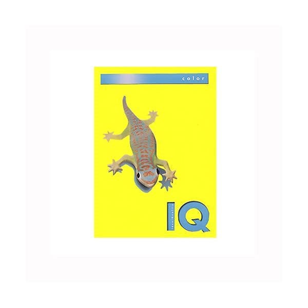 （業務用セット） 伊東屋 バイオトップカラー A4判 500枚入 80g／m2 BT512 カナリーイエロー 2セット