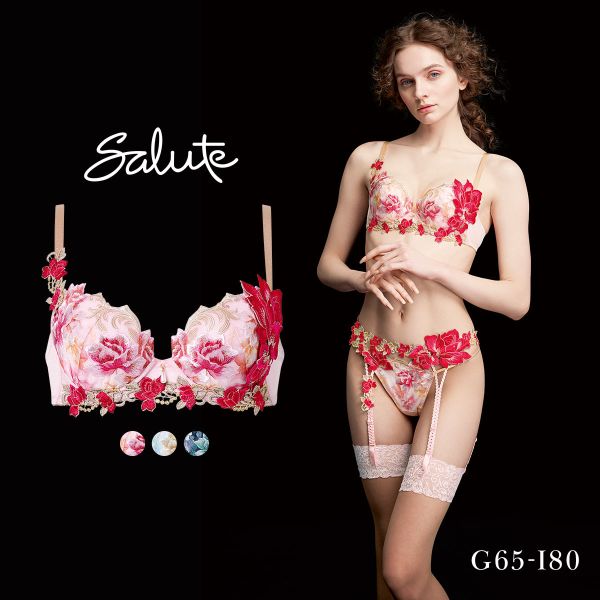 ワコール サルート 26グループ 26G P-UP ブラジャー GHI プッシュアップ 谷間 Wac