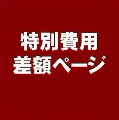 補差額