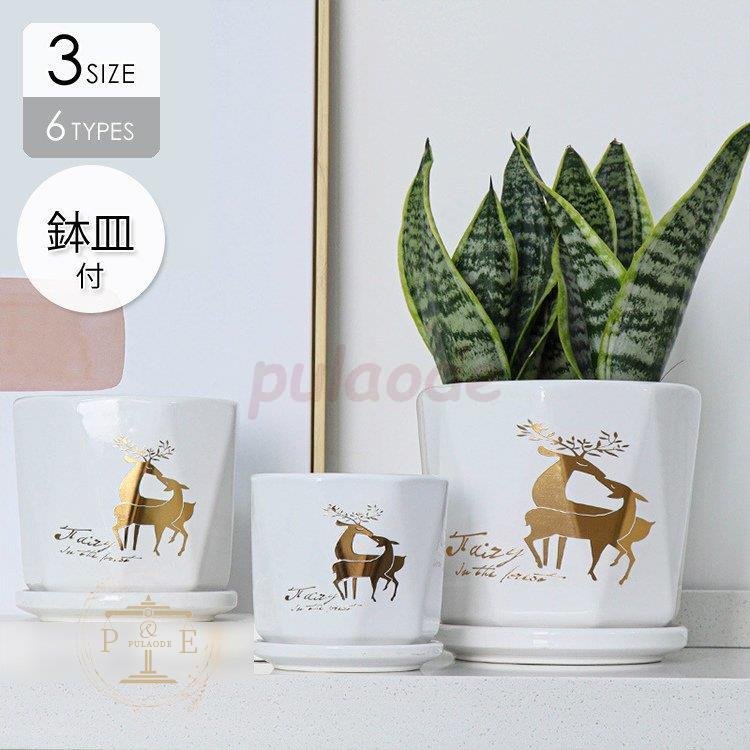 植木鉢 プランター おしゃれ 限定モデル 鉢植え 花 栽培 ギフト ガーデニ 母の日 通販 かわいい プレゼント