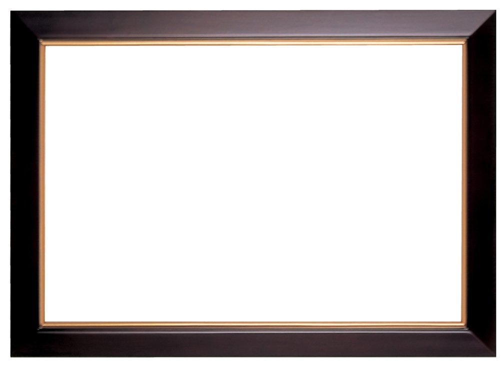 ラーソン・ジュール・ニッポン 額縁 D785 セピア 大賞 アクリル D785244