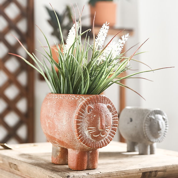 未使用☆かとうゆみ　おとぼけライオン　多肉鉢 かとうゆみさんの動物鉢に多肉寄せ植え | ブログ版Olive&SucculentGarden