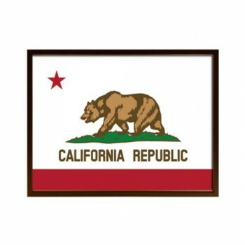 アートフレーム California Flag アートパネル ISF-52295
