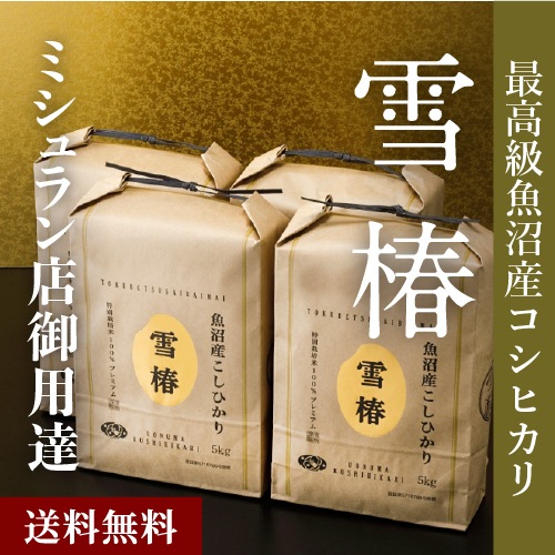 米 お米 魚沼産コシヒカリ 雪椿 コシヒカリ 20kg こしひかり 魚沼産 新潟県産 令和7年産 おいしい 美味しい 魚沼コシヒカリ 新潟 魚沼