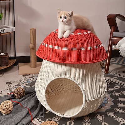 最高級 変わり包丁土佐鍛冶特注 先端までカーブ鋼入り 165ミリ 【公式