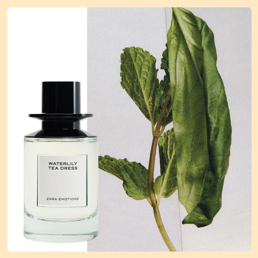 ZARA 香水 WATERLILY TEA DRESS オードパフューム [EDP] 100ML