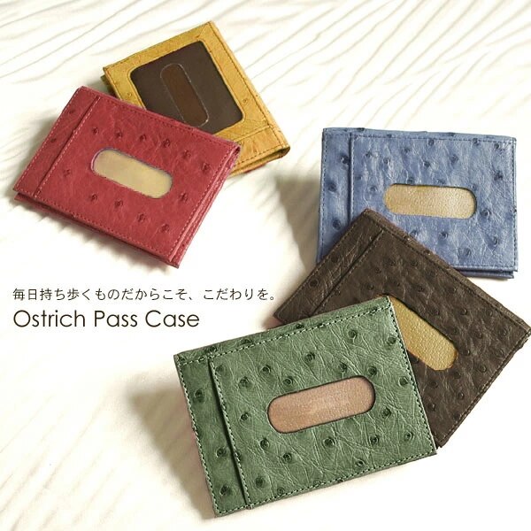 オーストリッチパスケース ネコポス対応