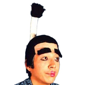 コスプレ 仮装 DX若殿様 (マユ毛付き) 【 コスプレ 衣装 ハロウィン パーティーグッズ かぶりもの ウィッグ かつら 髪の毛 プチ仮装 カツラ ハロウィン 衣装 和風 変装グッズ 時代劇 】