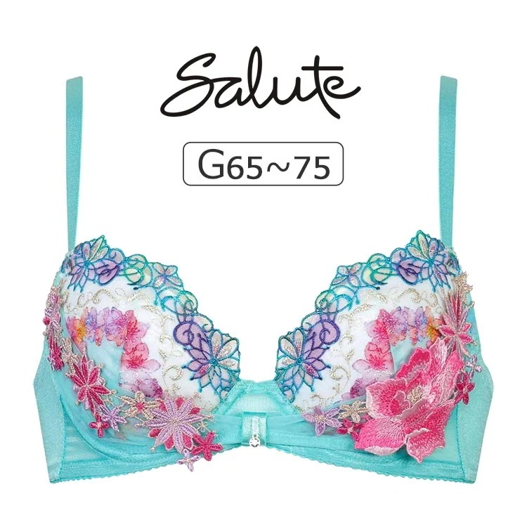 ワコール サルート 50G ブラジャー単品 リボンブラ Gカップ アンダー65/70/75cm BTJ750
