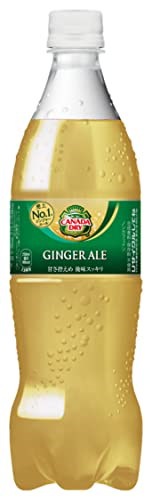 他サイト： コカ・コーラ カナダドライジンジャーエール700mlPET ×20本の商品画像