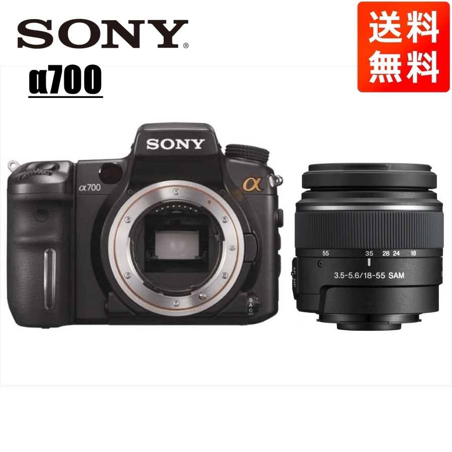 α700 DT 18-55mm 標準 レンズセット デジタル一眼レフ カメラ 中古