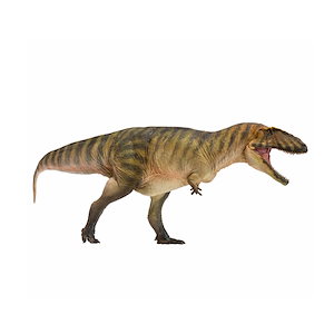 短納期 PNSO 成長シリーズ カルカロドントサウルス 恐竜 肉食 動物 フィギュア プラモデル おもちゃ 模型 リアル PVC 恐竜好き 誕生日 プレゼント オリジナル 塗装済 完成品 29.1cm