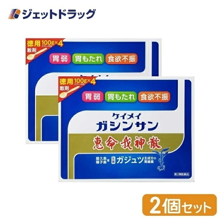 【第2類医薬品】恵命我神散 100g 4袋入 ×2個