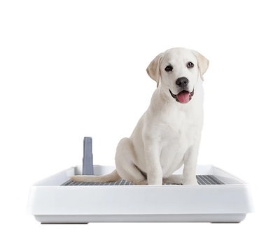 Qoo10 犬 トイレ トレー しつけ 犬用トイレ ペット