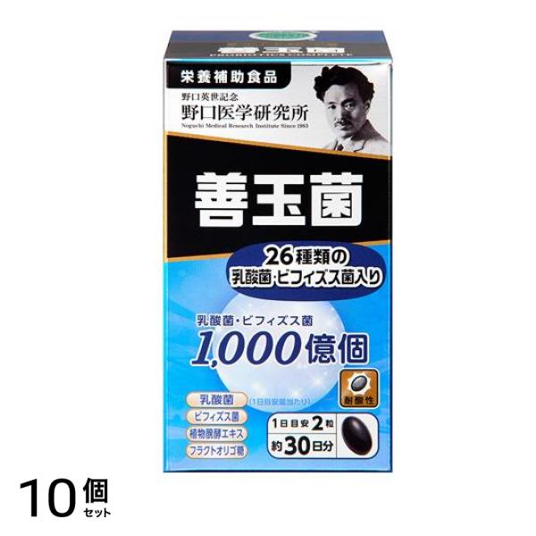 野口医学研究所 善玉菌 60粒 (約30日分) 10個セット