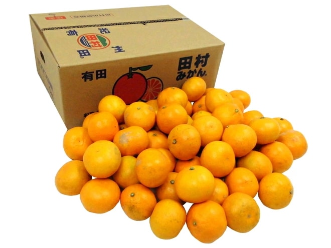 和歌山有田産 =田村みかん= ちょっと訳あり S-M 約5kg 産地箱 予約 11月末以降