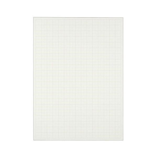 （まとめ） TANOSEE 模造紙（プルタイプ） 本体 7881085mm 50mm方眼 再生ホワイト 1ケース（20枚） 10セット