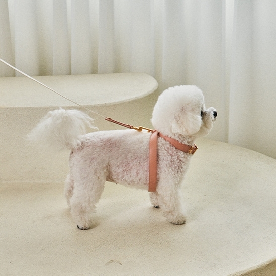 MACAROON HARNESS マカロンハーネス　ピンク