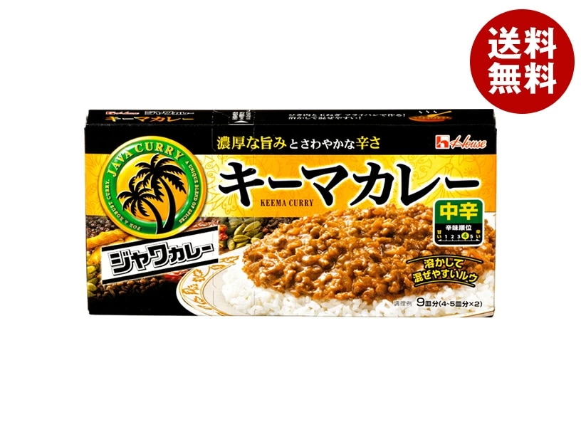 ハウス食品 ジャワカレー キーマカレー 中辛 176g×10個入×(2ケース)